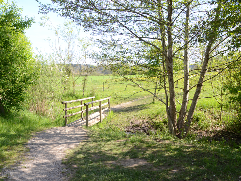 Bild Ansicht Schulhof Brücke