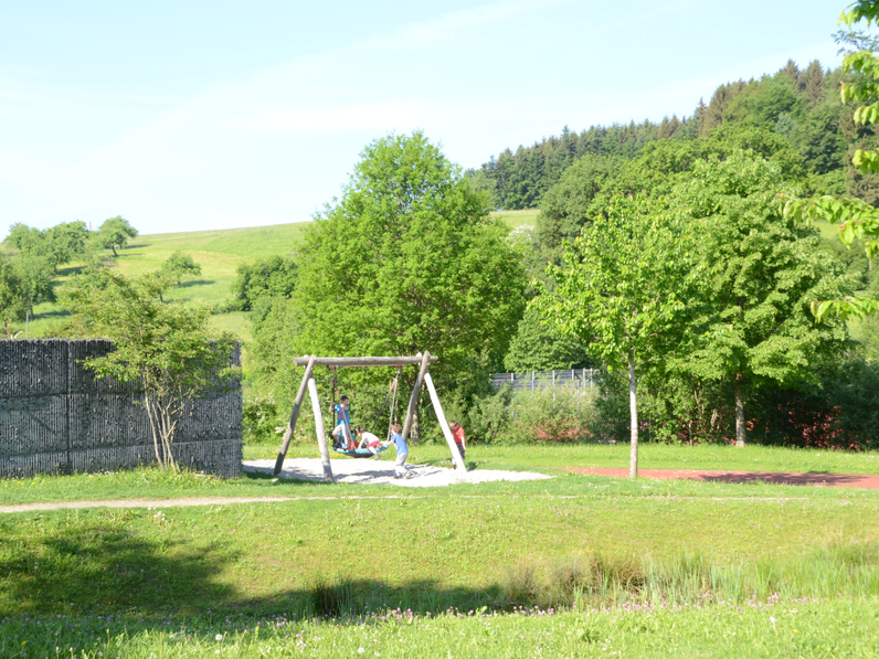 Bild Vogelnestschaukel