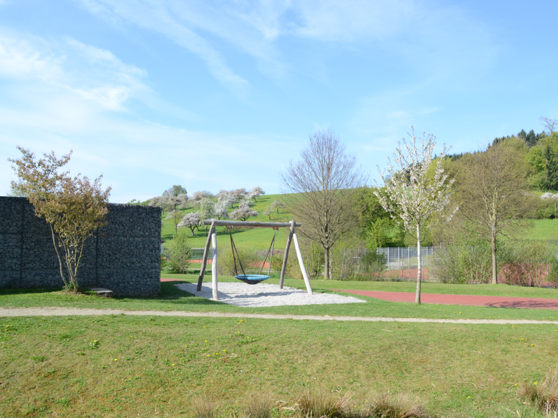 Bild Ansicht Schulhof Vogelnestschaukel